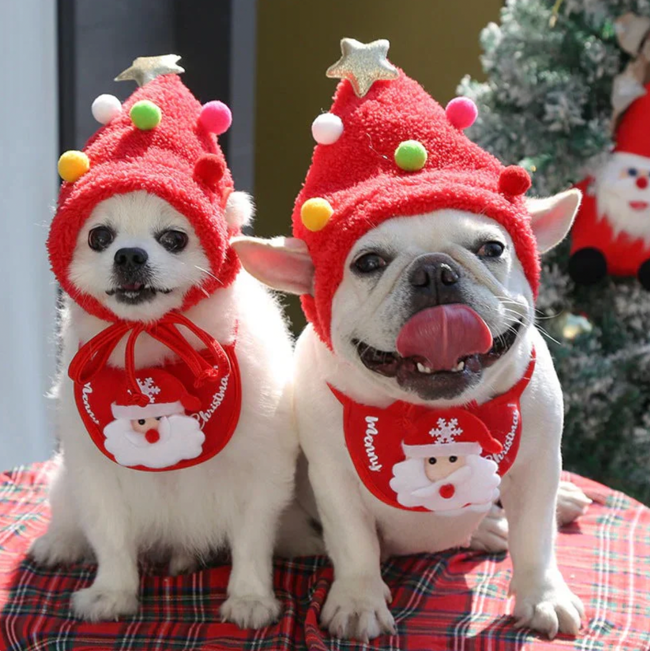 Christmas Pet Outfit Hat & Bib™