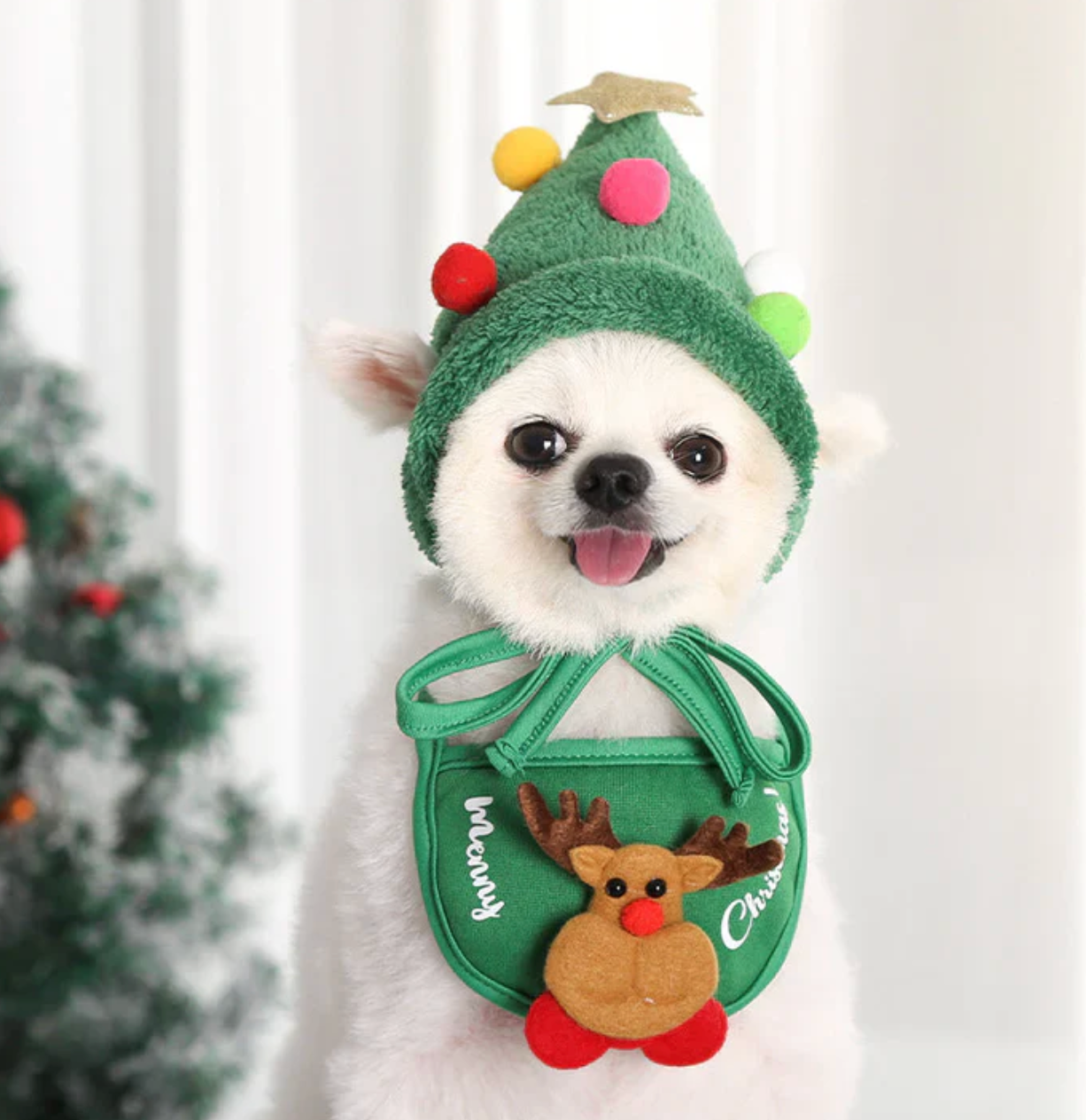 Christmas Pet Outfit Hat & Bib™