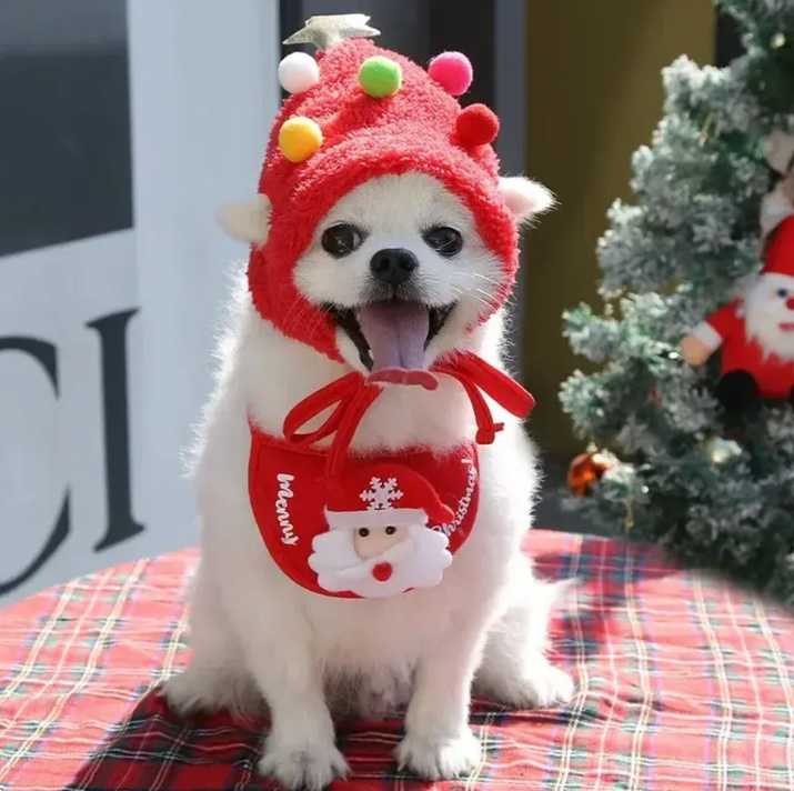 Christmas Pet Outfit Hat & Bib™